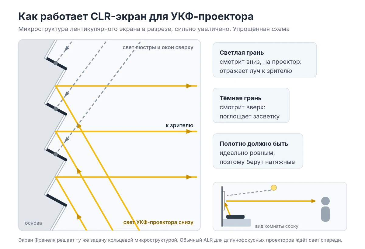 Схема CLR-экрана: свет УКФ-проектора снизу отражается к зрителю, свет сверху поглощается