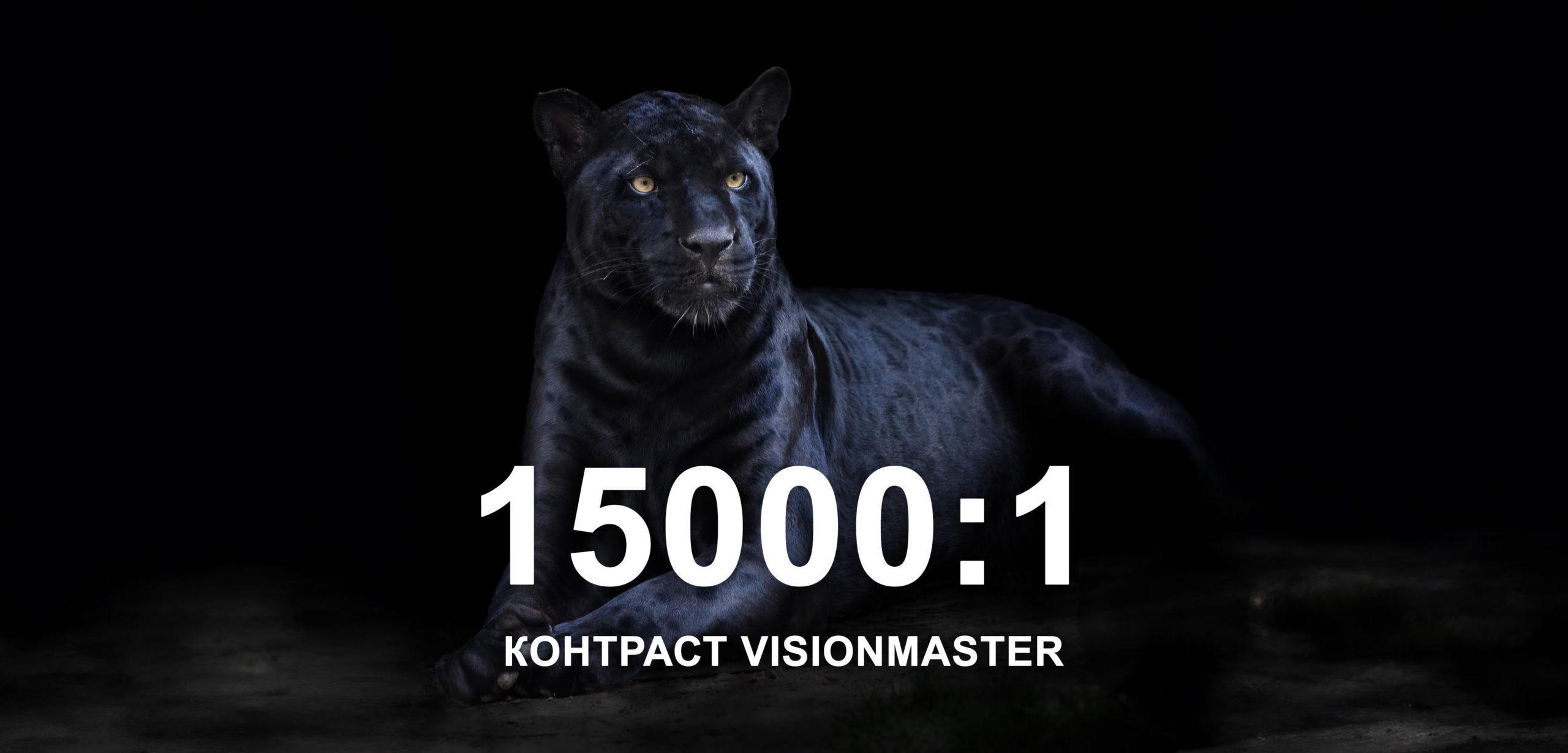 Контраст 15000:1 у Valerion VisionMaster Pro 2: глубокий чёрный и детали в тёмной сцене